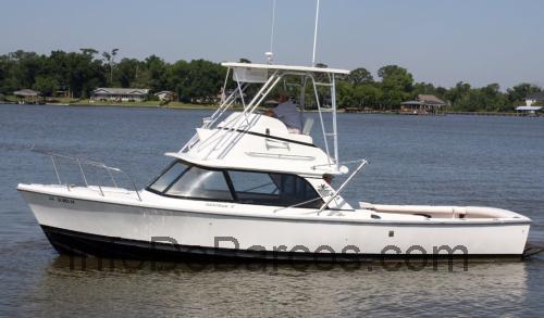 Bertram 31 Flybridge Cruiser ficha técnica y opiniones